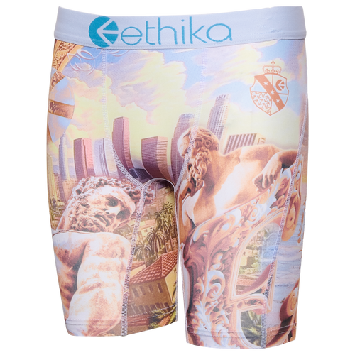 Ethika Boys   Graphic Briefs In Multi