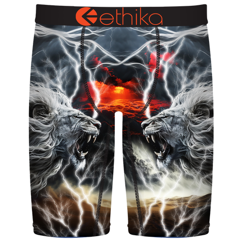 Ethika Boys   Graphic Briefs