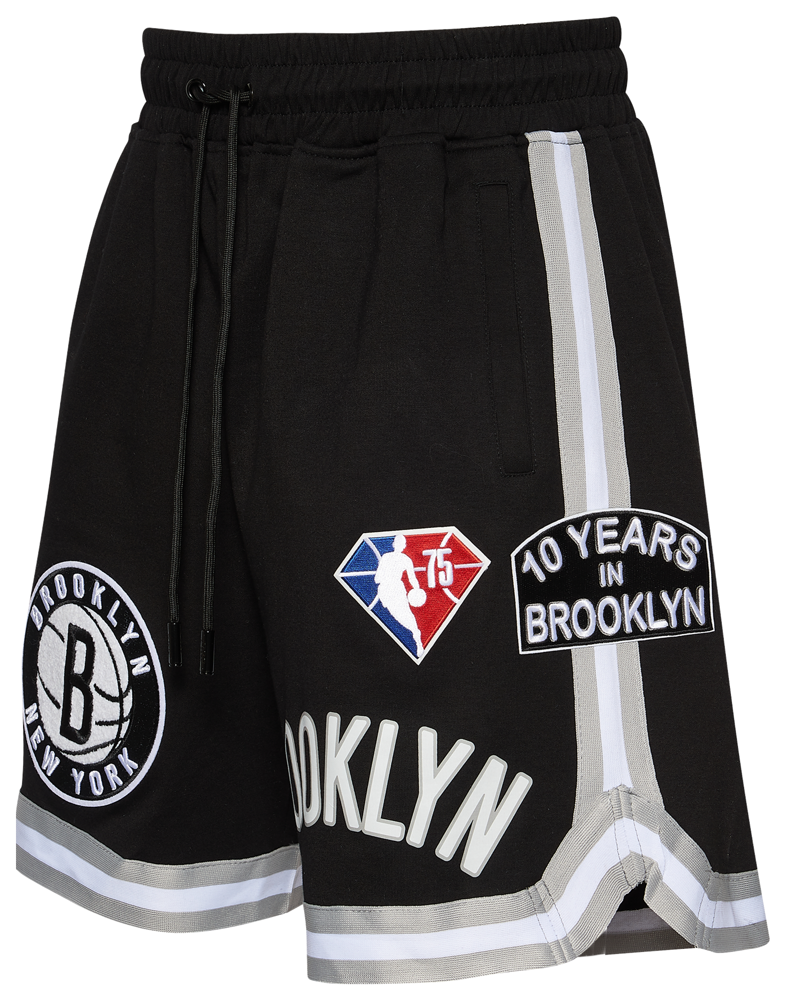 Pro Standard Mens NBA Boston Celtics Logo Pro Team Shorts