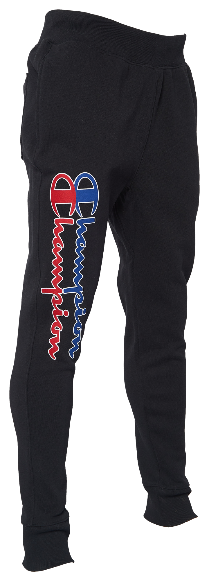 foot locker champion pants