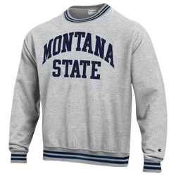 Men's - Champion NCAA Reverse Weave Wordmark Hoodie - Silver Gray