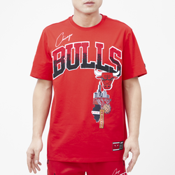 Men's - Pro Standard Bulls Hometown T-Shirt - Red/Red