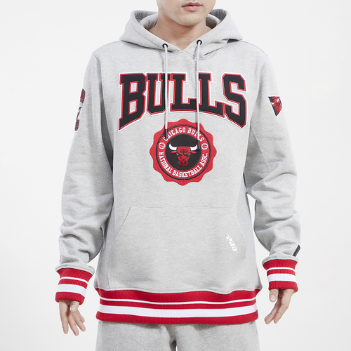 Pro Standard Mens  Bulls Crest Emblem Fleece P/o Hoodie In Gray