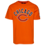 Pro Standard Bears Classic T-Shirt - Men's Orange/Orange