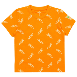 Boys' Toddler - Carrots AOP T-Shirt - Orange/Orange