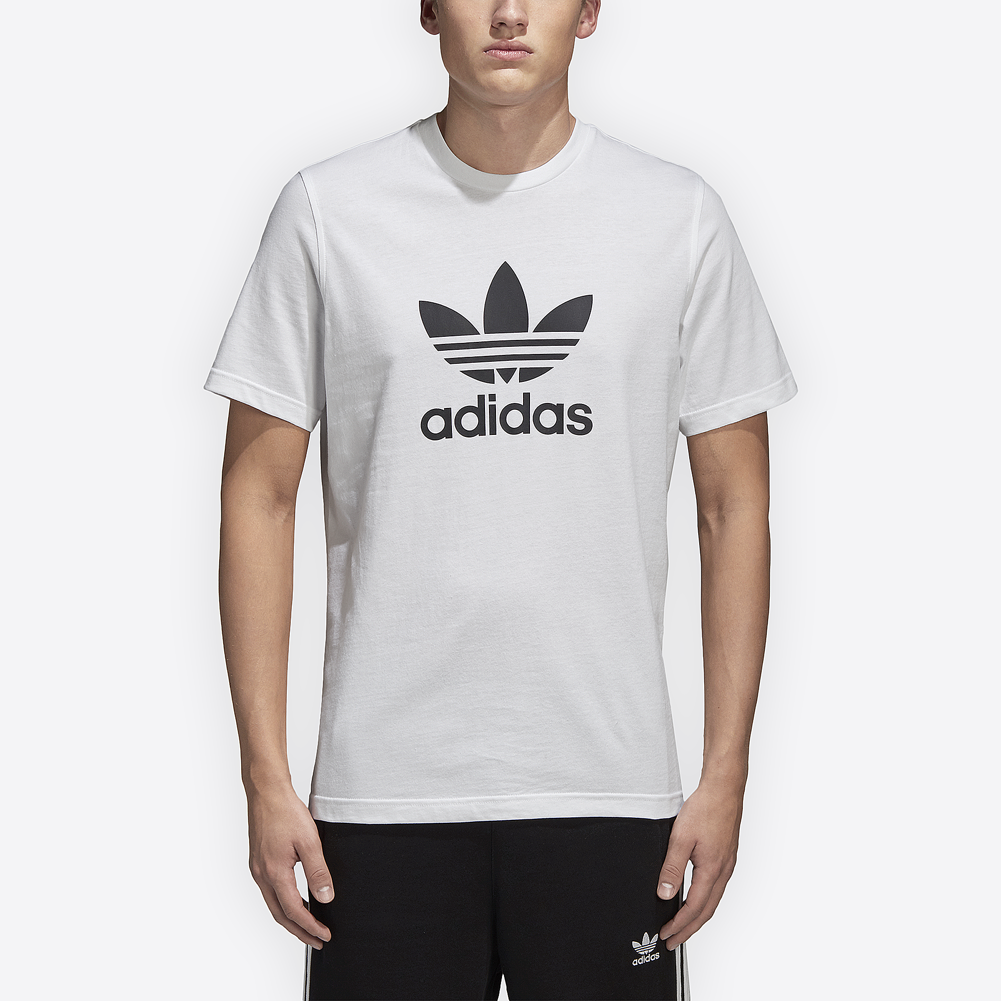 adidas trefoil 3xl