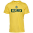 Nike WNBA U Dry Essential Practice T-Shirt - Women's Yellow Strike/Fir Green