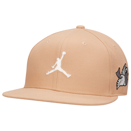 Jordan Pro Jumpman Evo Snapback Cap