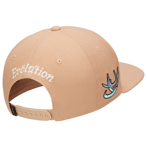 Jordan Pro Jumpman Evo Snapback Cap