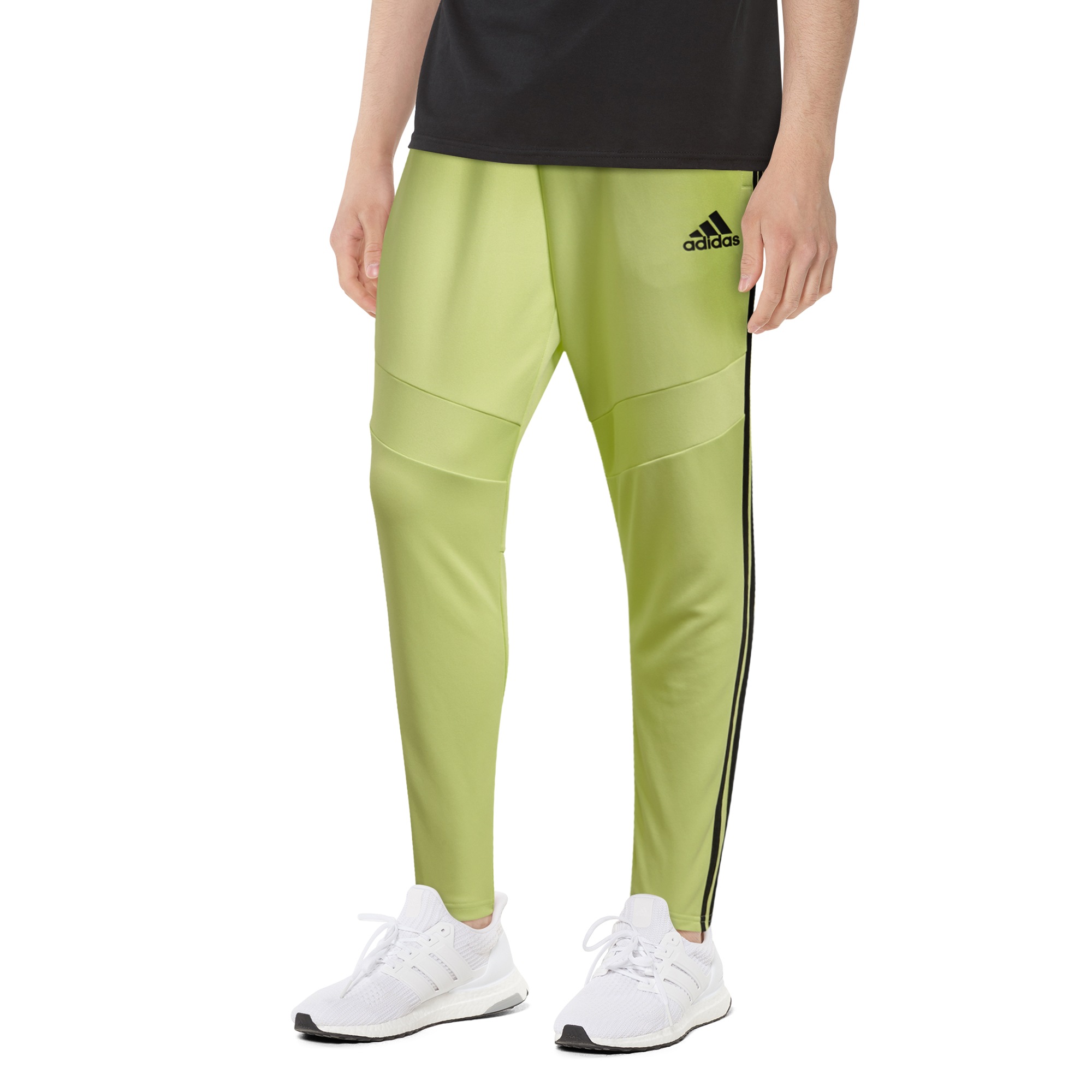 adidas track pants champs