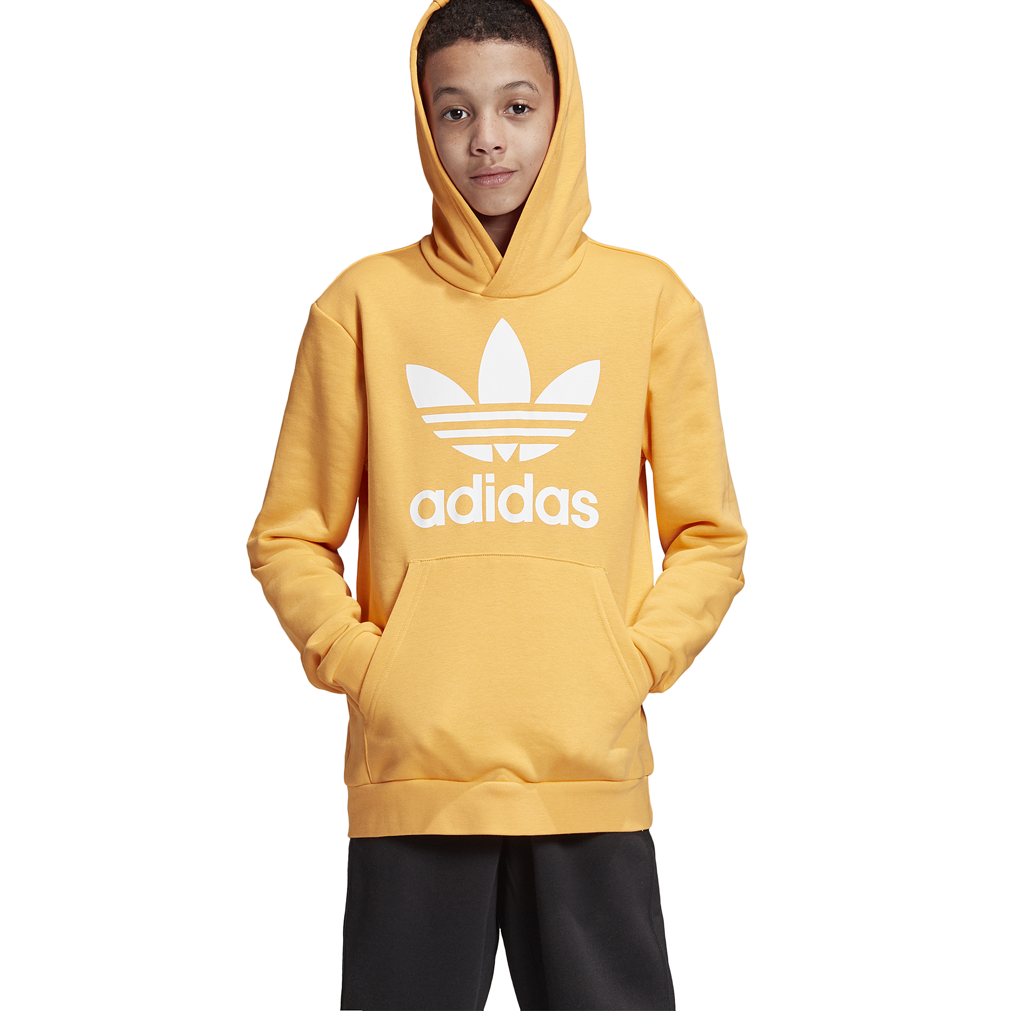 adidas originals adicolor trefoil hoodie