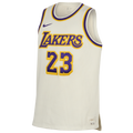 Nike Lebron James Dri-FIT Reserve Jersey - Nike Sail/Field Purple