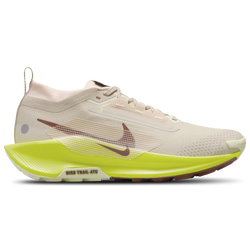 Nike Pegasus Shoes Champs Sports