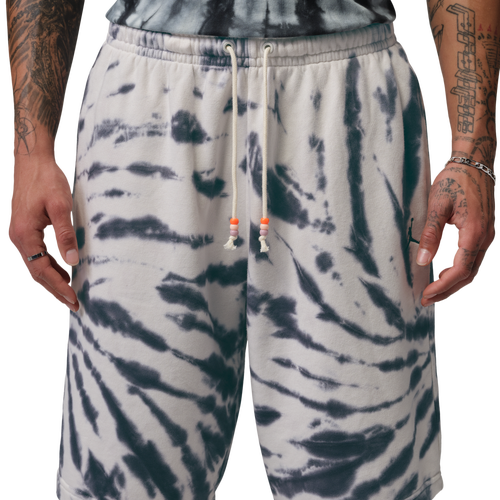 Jordan Mens  Brooklyn Festival Td Fleece Shorts In Multi