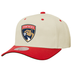 Adult - Mitchell & Ness Panthers 2Tone Team Cap - Tan/Red