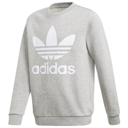 Boys' Grade School - adidas Originals Trefoil Crew - Medium Grey Heather