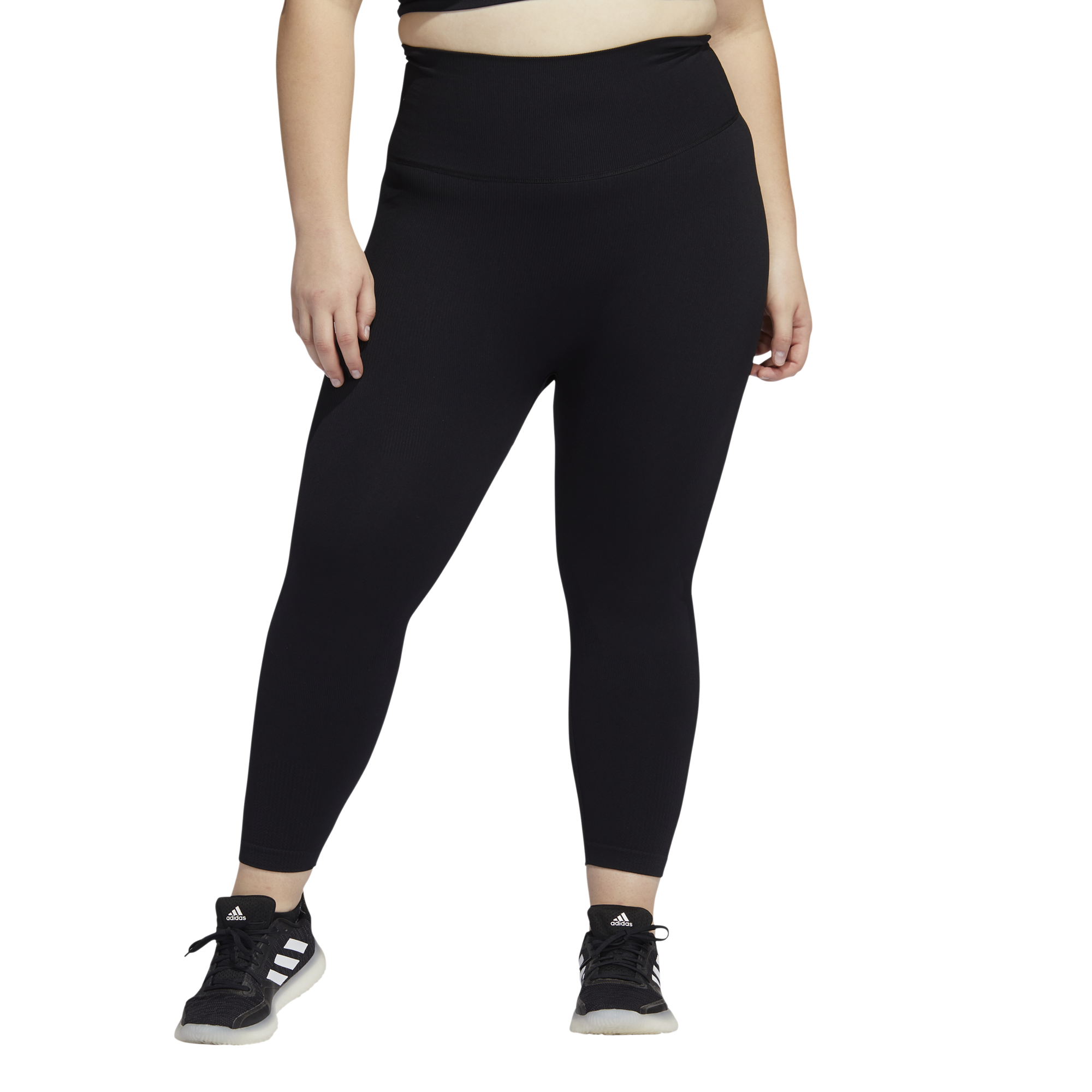 adidas Sculpt Tights Plus | Champs Sports