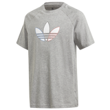 Gray/Multi