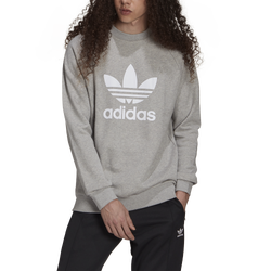 Men's - adidas Adicolor Classics Trefoil Crewneck Sweatshirt - Blue Rush/Sky Rush/Blue Rush