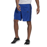 Royal Blue/Black