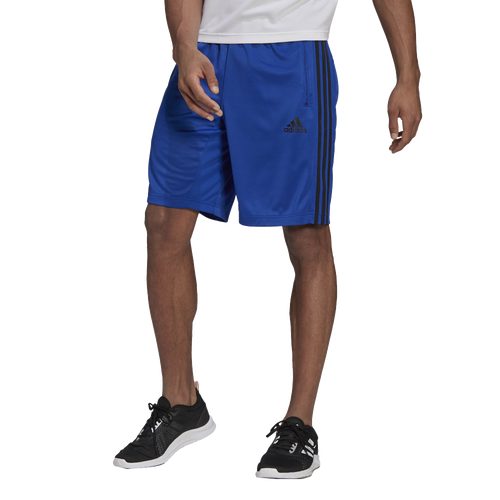 

adidas Mens adidas D2M 3 Stripes Shorts - Mens Royal Blue/Black Size L