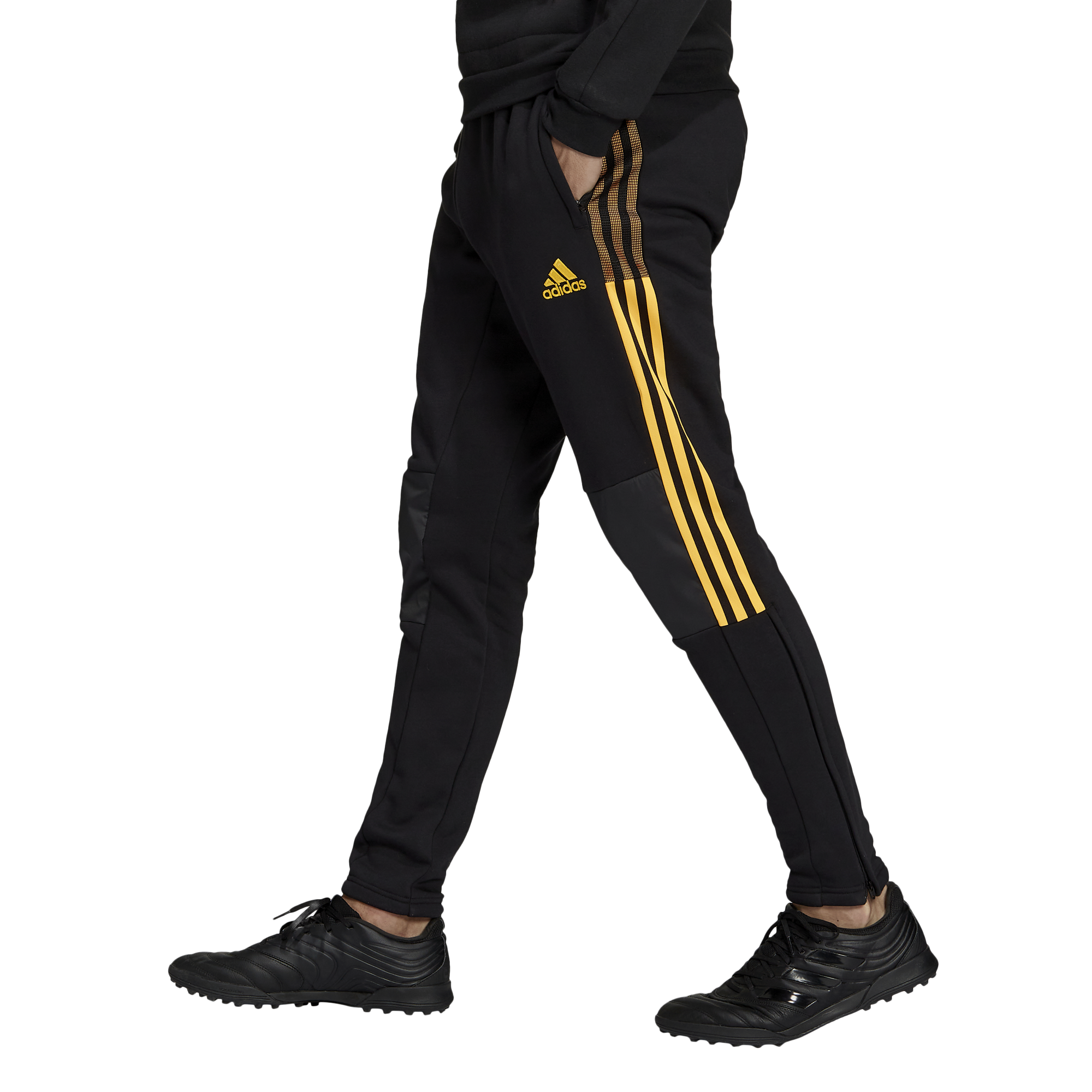 adidas track pants champs