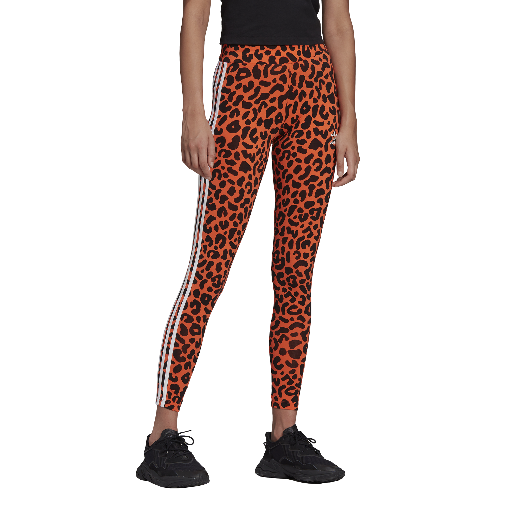 Adidas Originals Tights Foot Locker