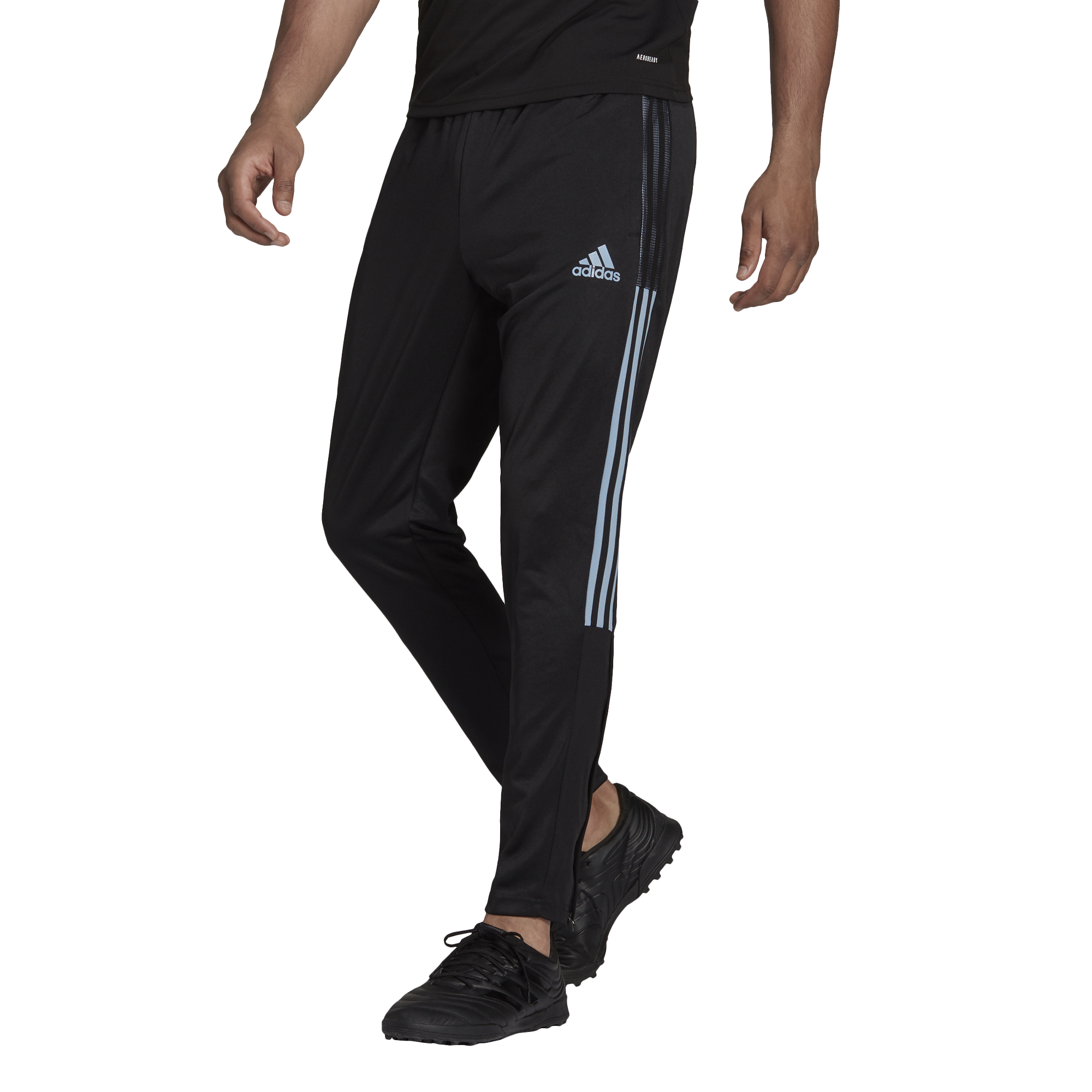 adidas track pants champs