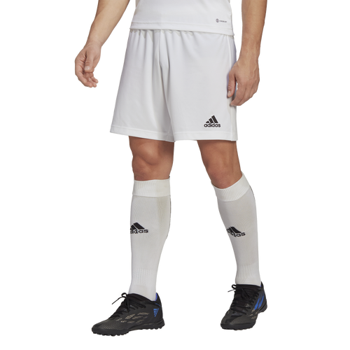 

adidas Mens adidas Team Entrada 22 Shorts - Mens White/White Size M