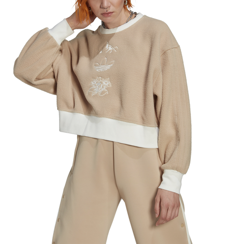 

adidas Originals adidas Originals Graphic Sweatshirt - Womens Beige/Tan/White Size M