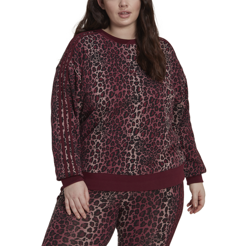 

adidas Originals adidas Originals Plus Size Crew Sweatshirt - Womens Maroon/Multi