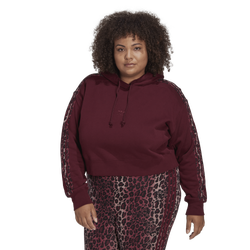 Women's - adidas Originals Logo Crop Hoodie (Plus Size) - Maroon/Multi
