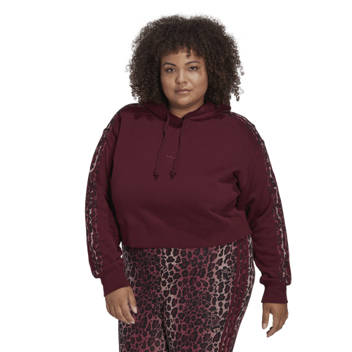 

adidas Originals Womens adidas Originals Logo Crop Hoodie (Plus Size) - Womens Maroon/Multi Size 3X