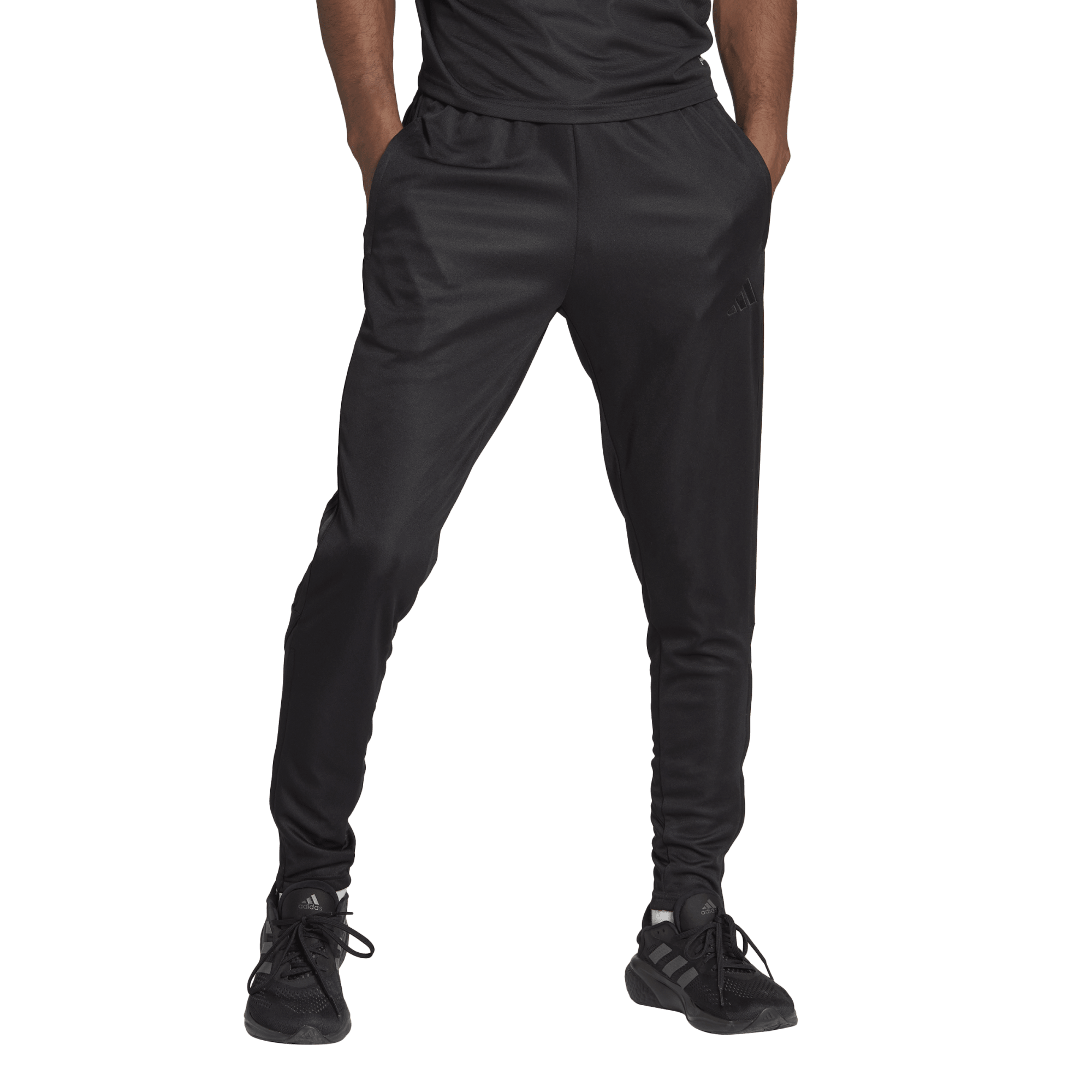 Champs adidas clearance pants