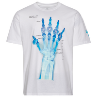 White/Light Blue