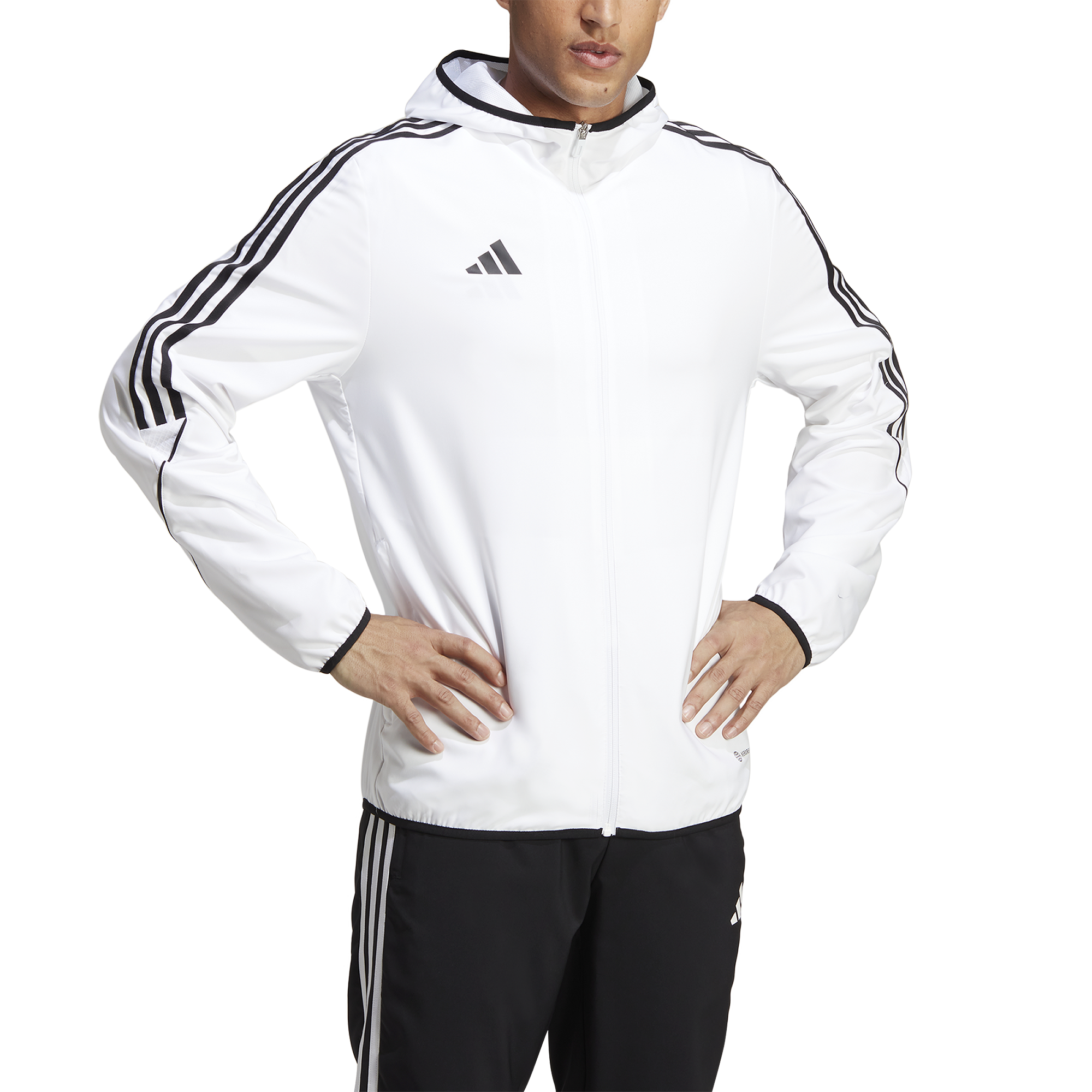 Foot locker hot sale adidas windbreaker