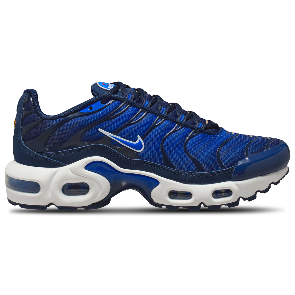 Grade School Nike Air Max Plus SE WC