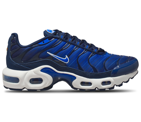 Grade School Nike Air Max Plus SE WC