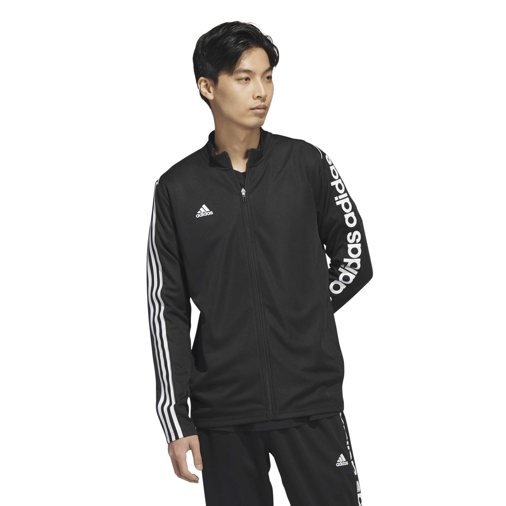 adidas Tiro 23 WM Jacket