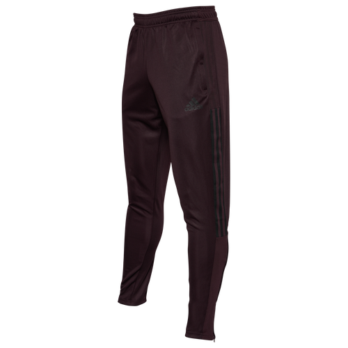 

adidas Mens adidas Tiro 21 Track Pants - Mens Maroon/Black Size XS