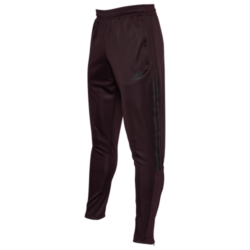 Adidas Originals Mens Adidas Tiro 21 Track Pants In Maroon/black