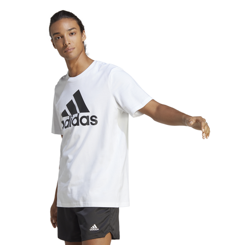 

adidas Mens adidas Essentials Single Jersey Big Logo T-Shirt - Mens White Size XL