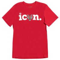 Men's - Icon The Collection Tiger T-Shirt - Red/Multi
