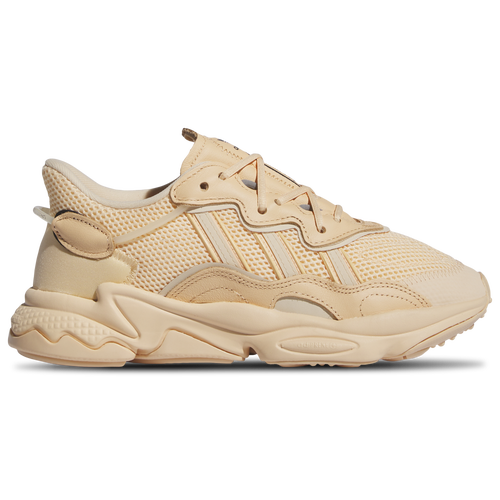 Adidas terrex footlocker store