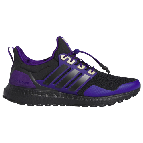 

adidas Mens adidas Collegiate Ultraboost 1.0 ATR - Mens Running Shoes Team Purple/Core Black/Core Black Size 09.5