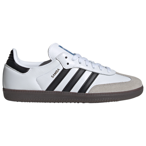 Champs adidas womens hotsell