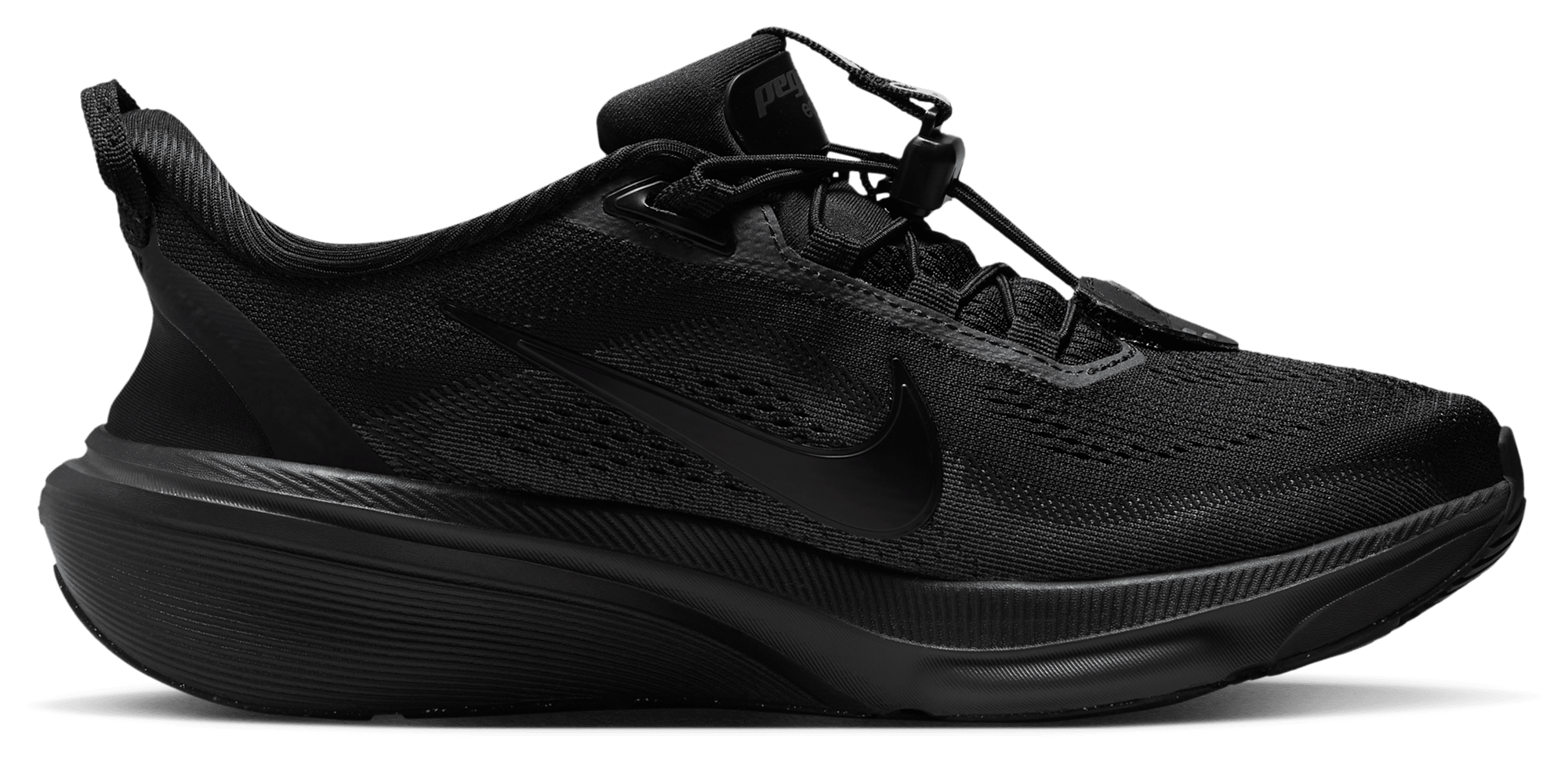 Nike Pegasus 42 Easyon - Women's