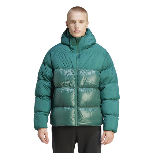 

adidas Mens adidas adicolor Down Regen Hooded Puffer Jacket - Mens Collegiate Green Size L
