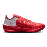 Metallic Silver/White/University Red