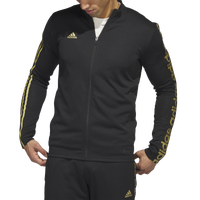 Gold/Black